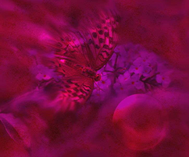 FEUERVOGEL von Vera Laake