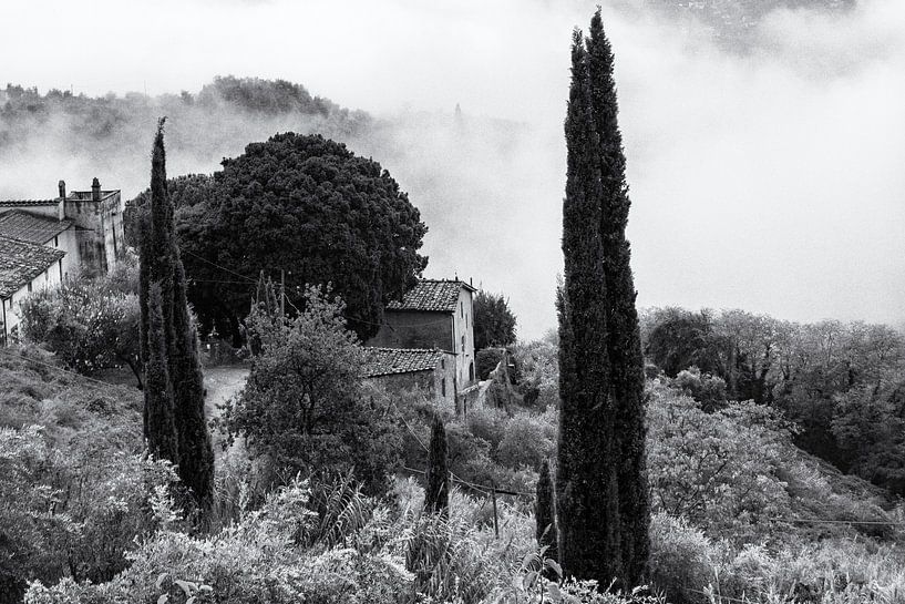 Brouillard en Toscane par Frank Andree