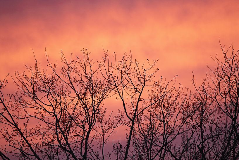 Sky on fire by Quinten Van Ooijen