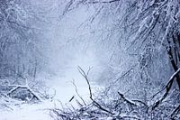 La route vers nulle part