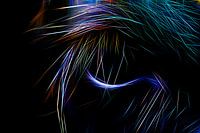 Kuh auge ein mal änderst