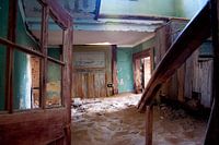 Als de natuur het overneemt... 