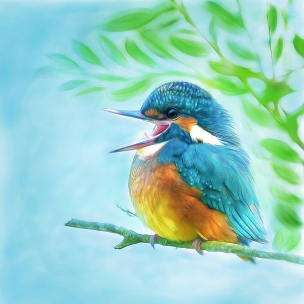 cute kingfisher by Silvio Schoisswohl