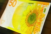 50 gulden biljet - 50 guilder banknote