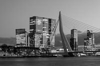 Erasmus Bridge The Rotterdam