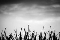 Erreichen Sie die Spitze!