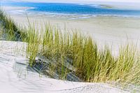 Strand en duinen Ameland