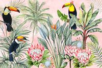 Tropischer Waldtukan