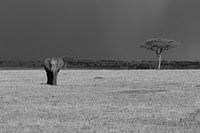 Für die Regenschauer