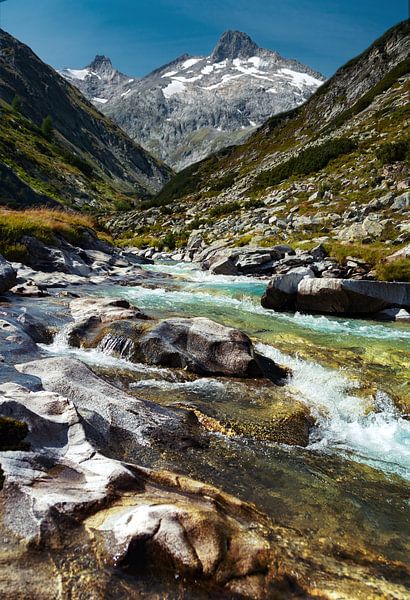 wildes Wasser von Alex Neumayer