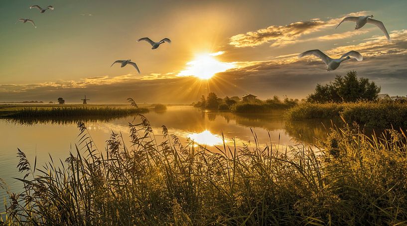 Lève-toi et brille par Sparkle King