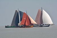 Colourful sails