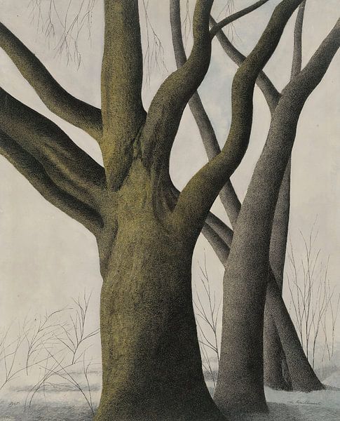 Léon Spilliaert - Grand arbre (1945) par Peter Balan