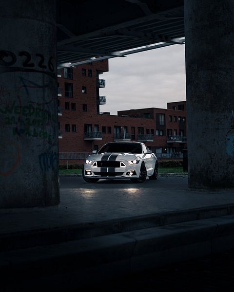 Ford Mustang by Jaimy van Asperen