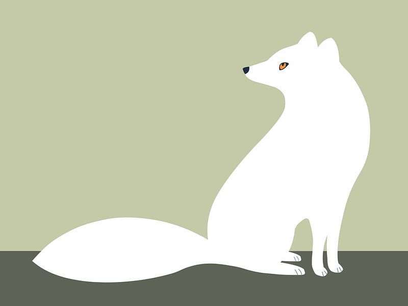 Arctic fox sitting by Studio Mattie