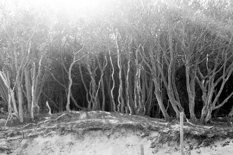 Zeeland von Sidney Graf