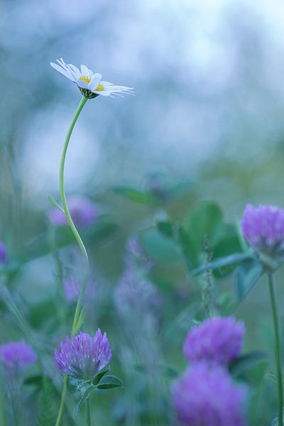 Look up. by Aukje Ploeg
