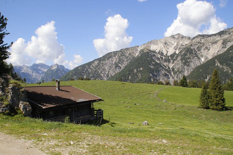 mountain hut by Danielle Holkamp