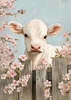 Le veau au bonheur des cerisiers en fleurs