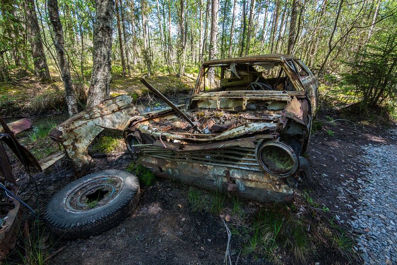 Oldtimer in het moeras 3 van Aurelie Vandermeren
