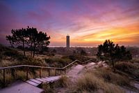 lever de soleil gelé