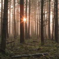 Hier kommt die Sonne