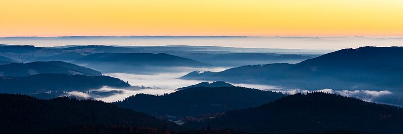 Panorama Blick vom Feldberg im Schwarzwald von Werner Dieterich