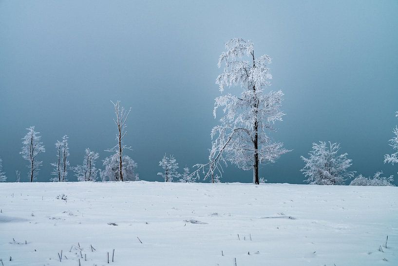 Einsam und verschneit von Joris Machholz