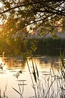 Fairy tale, vreugderijkerwaard Zwolle