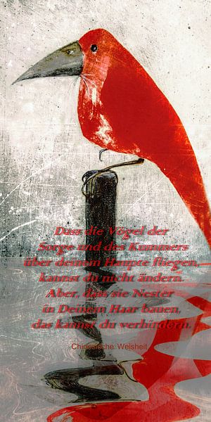 De Chine - La sagesse chinoise par Christine Nöhmeier