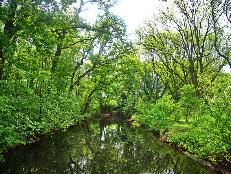 L'eau verte par Edgar Schermaul