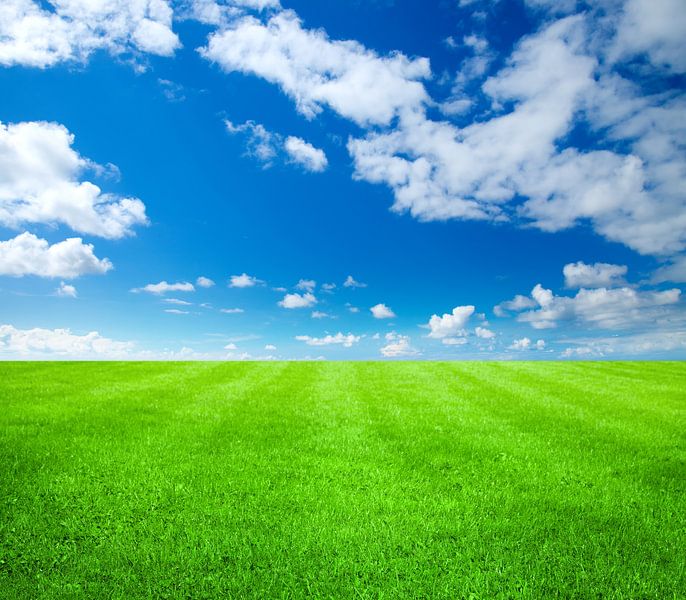 Green grass by Bo Valentino