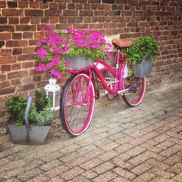 Vélo fleur rose par Marly De Kok