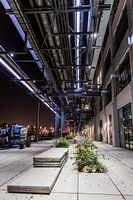 Onder de leidingbrug