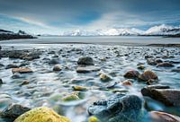 Lo-foto van de dag VII