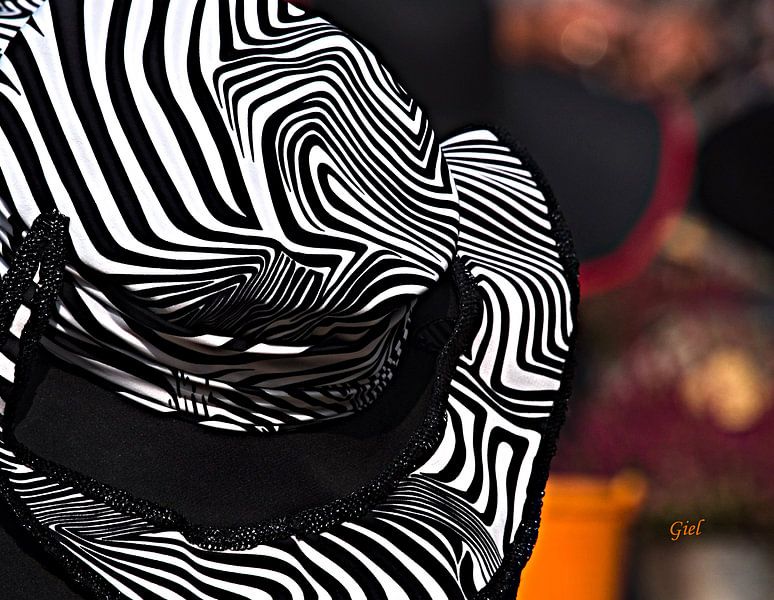 Detail van een hoed, Chapeau Buren, hoeden all over the place par M  van den Hoven