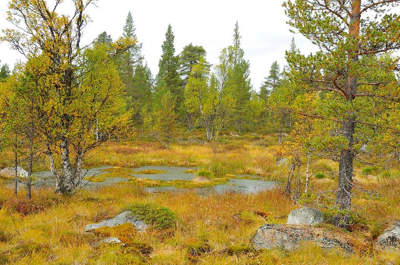 Parc national de Rogen par Karin Jähne