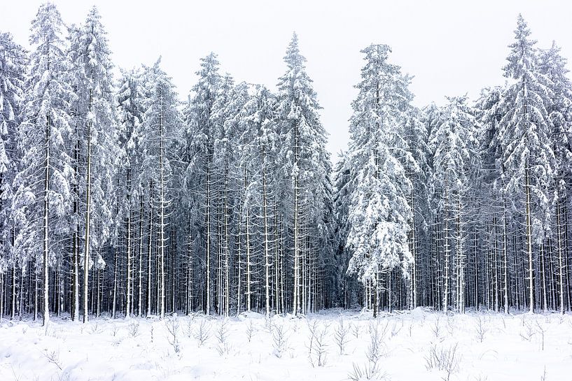 Welt des Winters von Richard Driessen