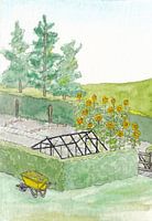 Potager avec brouette