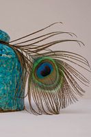 Pfauenfeder in einem aquablauen Glas mit Deckel