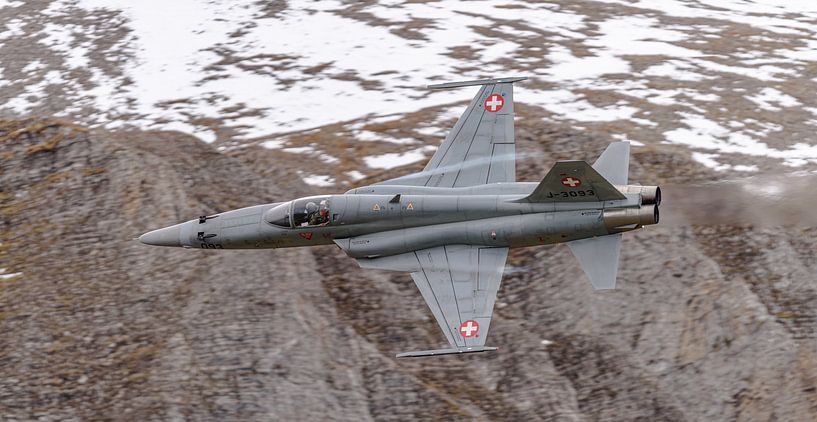 Northrop F-5E Tiger II der Schweizer Luftwaffe. von Jaap van den Berg