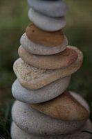 plan rapproché du relief