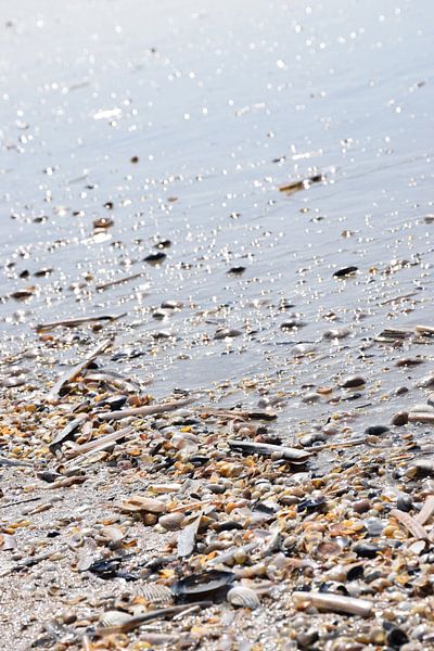 Ein Tag am Strand: Muscheln am Strand von Deauville von Ingrid de Vos - Boom
