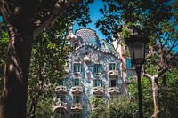 Casa Batlló entre les arbres