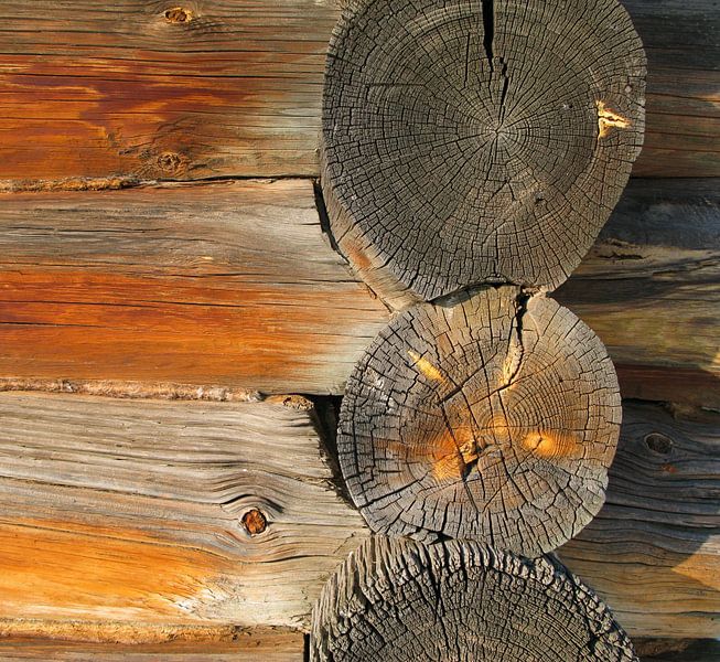 Structuren in hout van Floris den Ouden