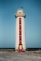The Guardian of Bonaire