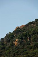 Die Berge Südafrikas