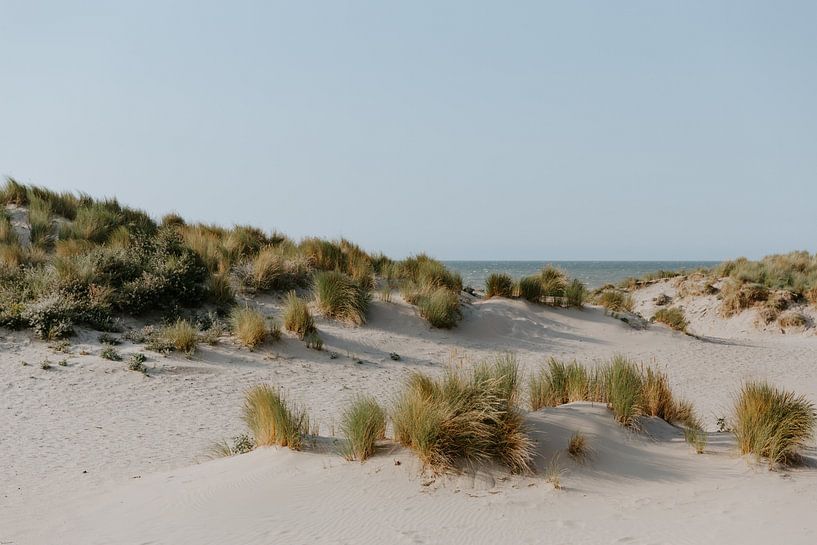 Les dunes de Noordwijk | Couleurs pastel | Photographie de plage | Tirage d'art mural par Alblasfotografie