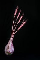 Stilleben mit Halmen