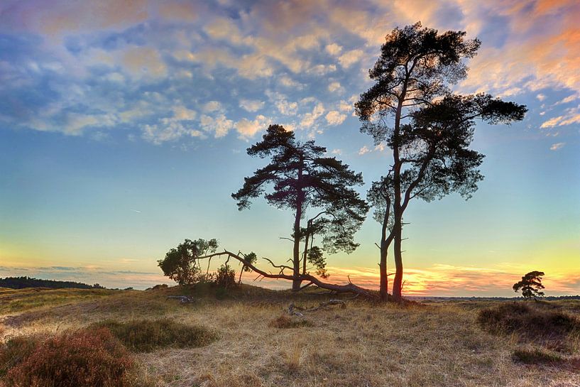 Sonnenuntergang Nationalpark de Hoge Veluwe von John Leeninga